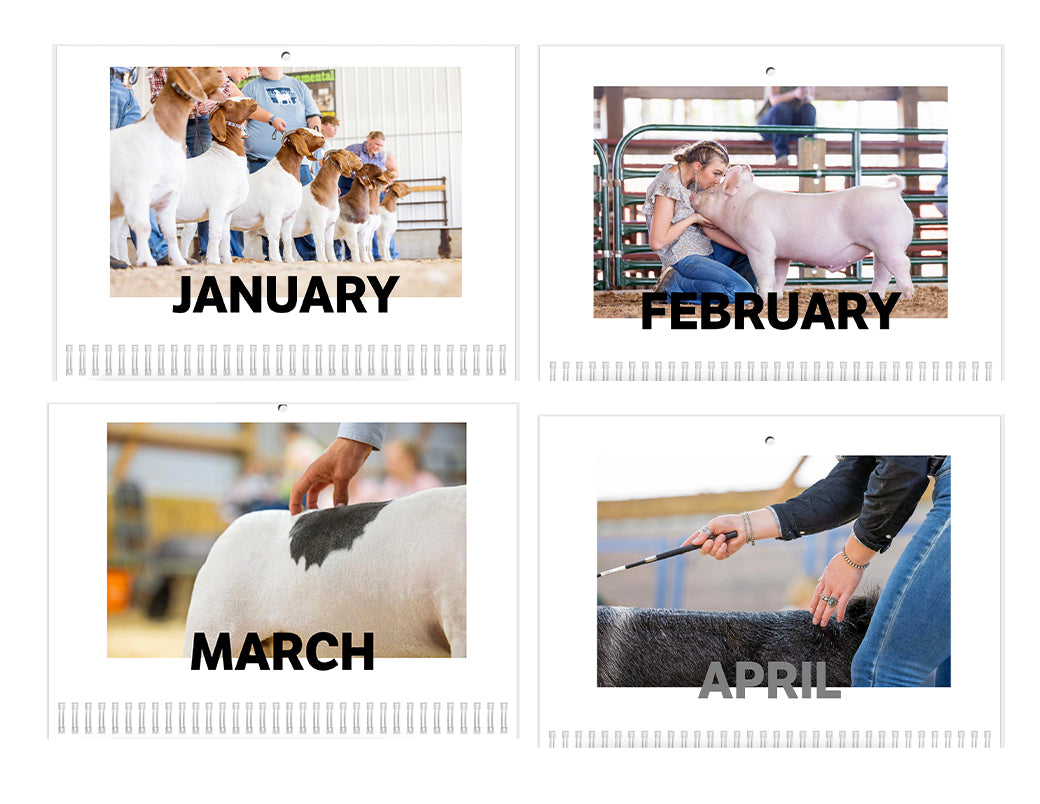 2025 Calendar