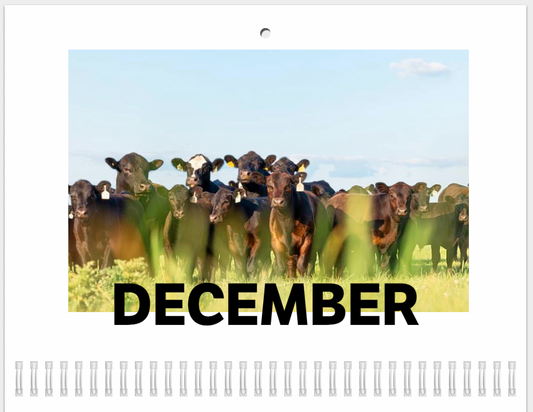 2025 Calendar