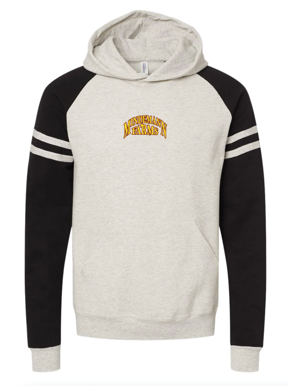 Jerzees Clolor Block Hoodie