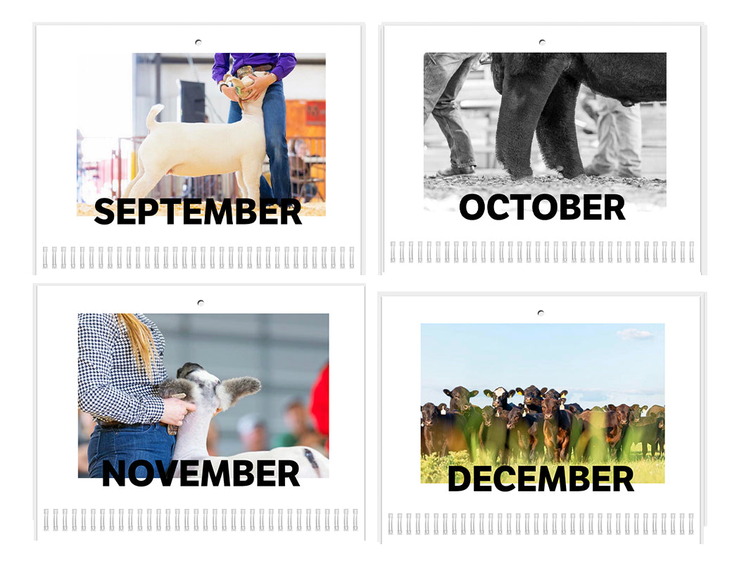 2025 Calendar