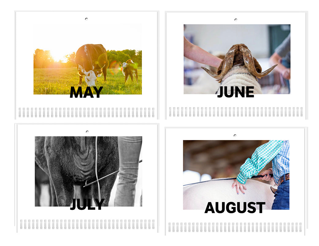 2025 Calendar